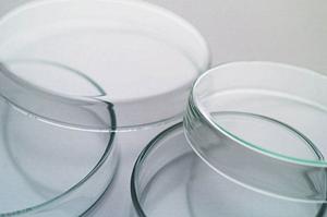 高知で評判の皮膚科徹底比較!最新の治療と安心のサポートを提供する信頼のクリニック